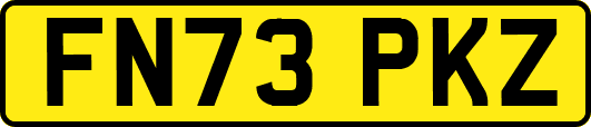 FN73PKZ