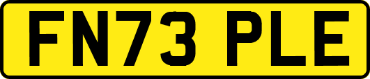 FN73PLE