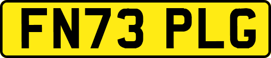 FN73PLG