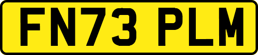 FN73PLM