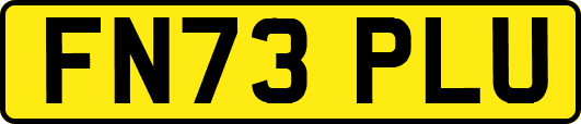 FN73PLU