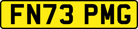 FN73PMG