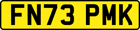 FN73PMK