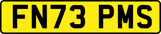 FN73PMS