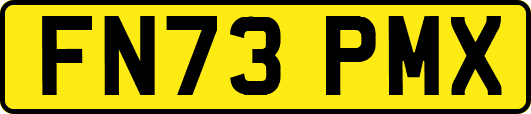 FN73PMX