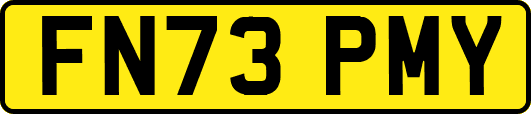 FN73PMY