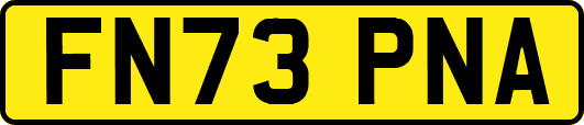 FN73PNA