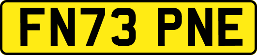 FN73PNE