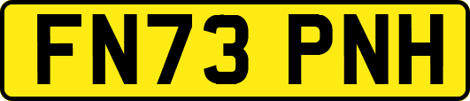FN73PNH