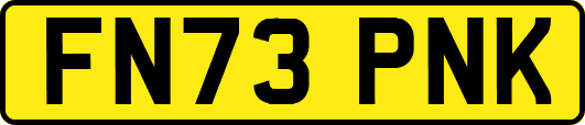 FN73PNK
