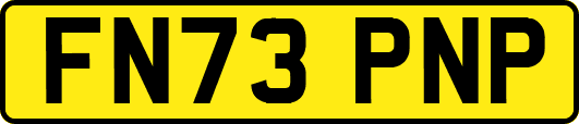 FN73PNP