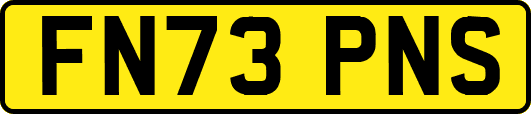 FN73PNS