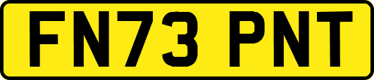 FN73PNT