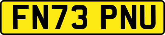 FN73PNU