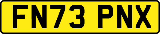 FN73PNX
