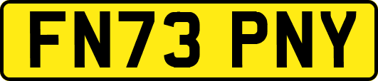 FN73PNY