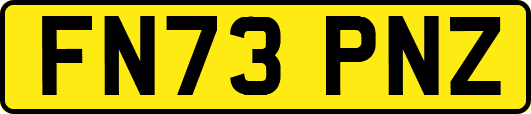 FN73PNZ