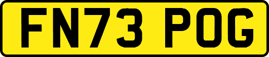 FN73POG