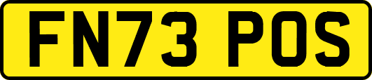 FN73POS