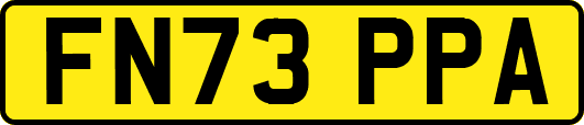 FN73PPA