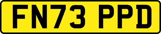FN73PPD