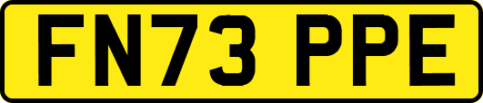FN73PPE