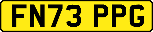 FN73PPG