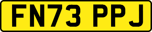 FN73PPJ