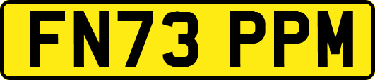 FN73PPM