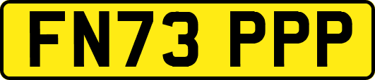 FN73PPP