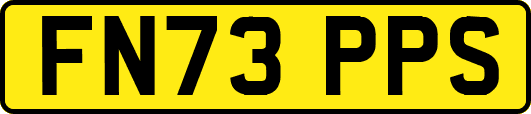 FN73PPS