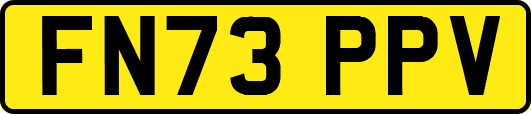 FN73PPV