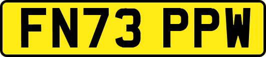 FN73PPW