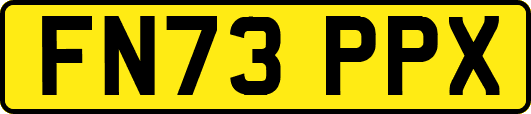 FN73PPX