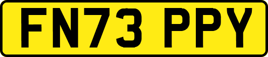 FN73PPY