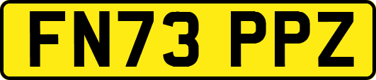 FN73PPZ