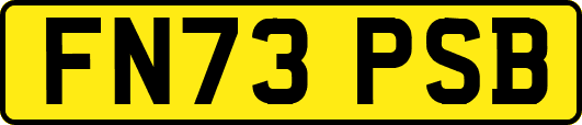 FN73PSB