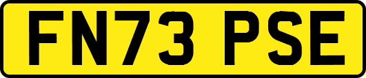 FN73PSE
