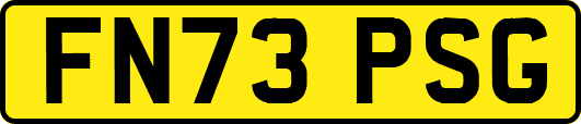 FN73PSG