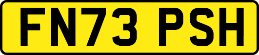 FN73PSH