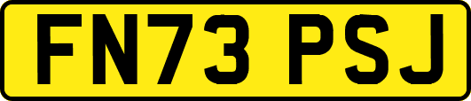 FN73PSJ