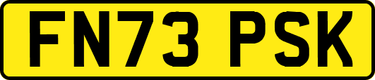 FN73PSK