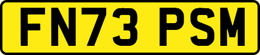 FN73PSM