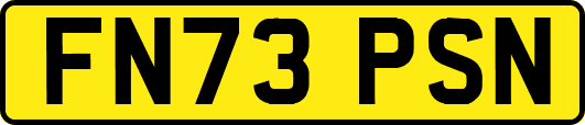 FN73PSN