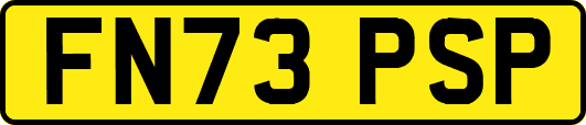 FN73PSP