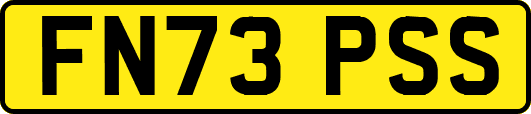 FN73PSS