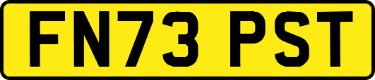 FN73PST