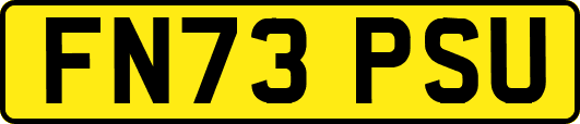 FN73PSU