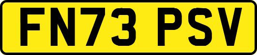FN73PSV