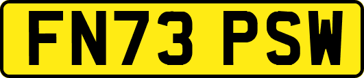 FN73PSW